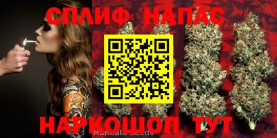 гашик Нарткала