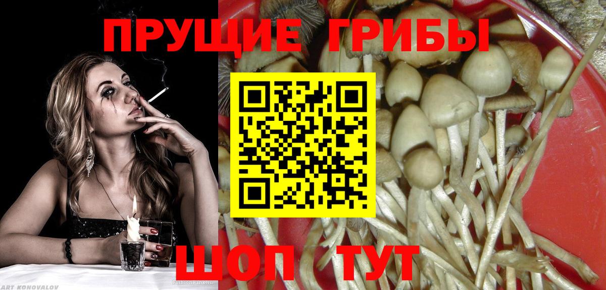 Псилоцибиновые грибы Magic Shrooms  Вход с VPN  Приморско-Ахтарск  Псилоцибиновые грибы MAGIC MUSHROOMS 